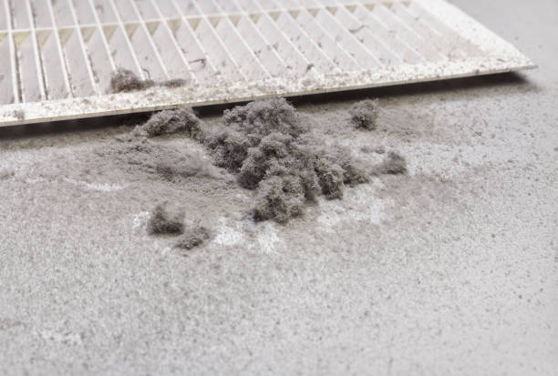 Best Air Duct Sanitizing Services  in Drew, MS