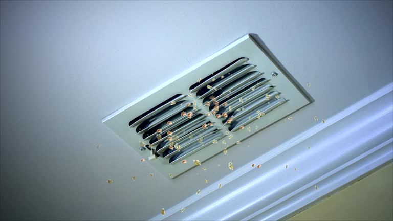 Best Local Air Duct Cleaning Services  in Drew, MS